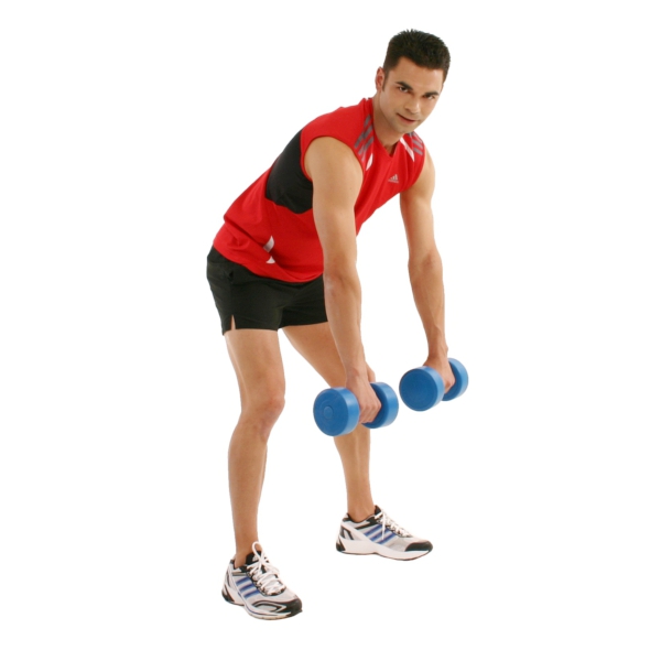 Fitness Rücken Latissimus Fitness Rücken Latissimus