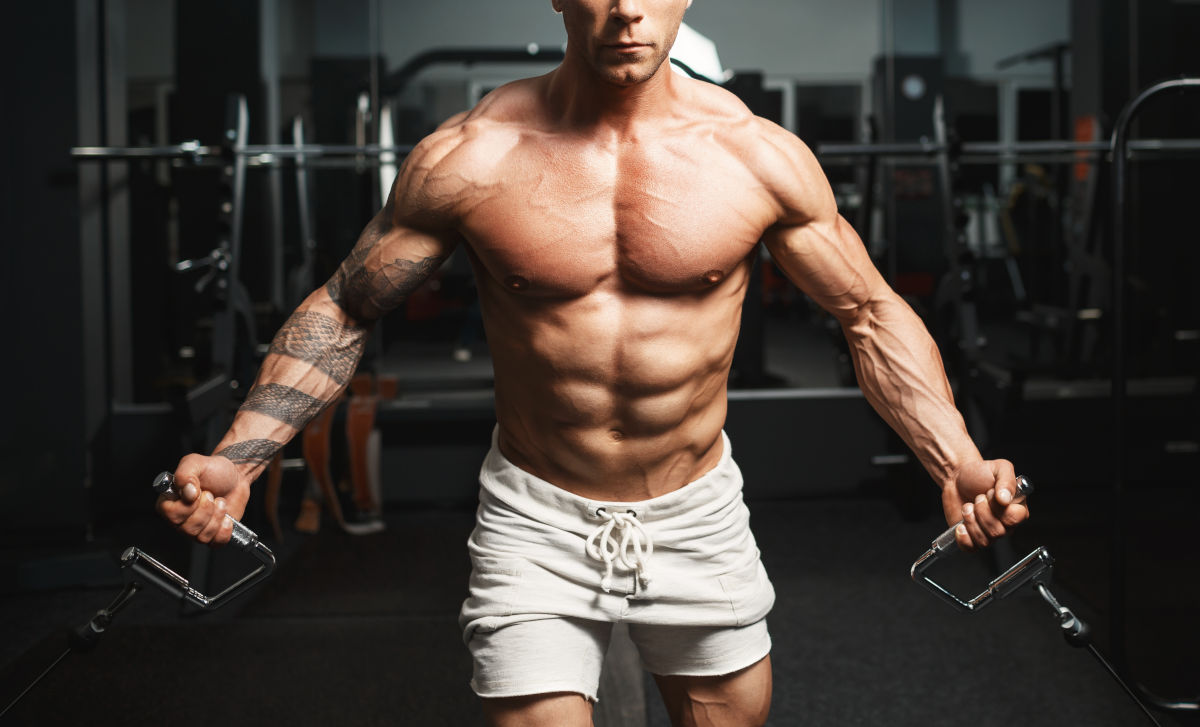 Kraft Training Muskelaufbau