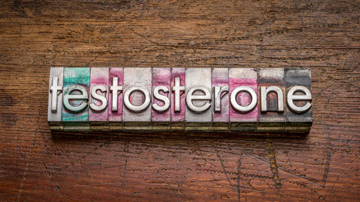 Muskelaufbau Testosteron Muskelaufbau Testosteron